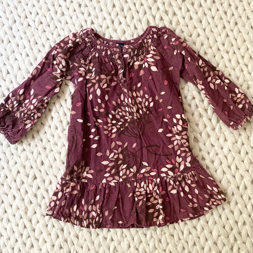Baby Gap Corduroy Long Sleeve Floral Dress Size 2t